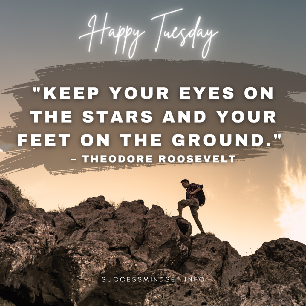 motivational quote by Theodore Roosevelt