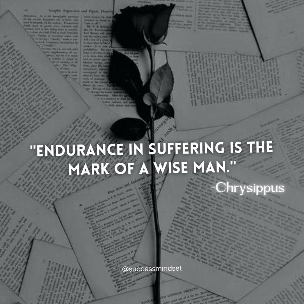 Chrysippus quote on endurance